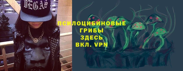 молекула духа Аркадак