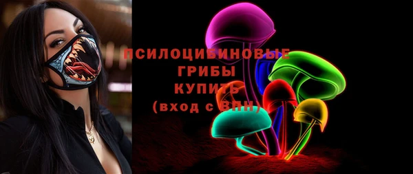 молекула духа Аркадак