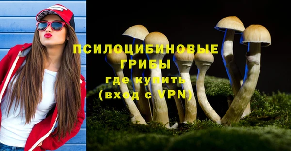 молекула духа Аркадак