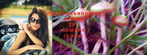 молекула духа Аркадак