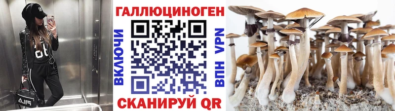 Галлюциногенные грибы Psilocybe  где купить наркоту  Усть-Лабинск 